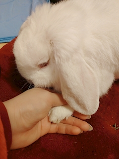 プロフィール写真6・きょうこ｜Lounge LEON・レオン - 豊田のスナック