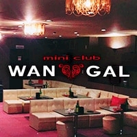 プロフィール写真1・のあ｜WAN GAL・ワンギャル - 掛川のキャバクラ