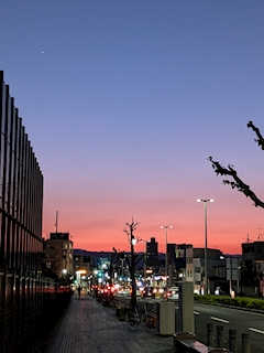 🌻💋🍍ベティ🍍💋🌻