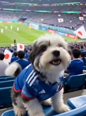 chiko