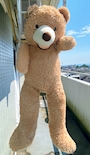 chiko