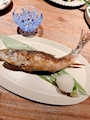 新着ブログ 🐟