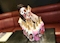 プロフィール写真3・⋆⸜ うみ🏮浅草GIRLS BAR K-2 ⸝⋆｜GIRLS BAR K-2・ケーツー - 浅草のガールズバー