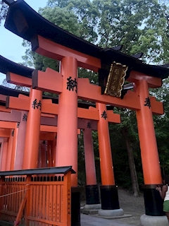 つばさ