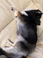 女の子