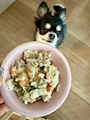 chiko