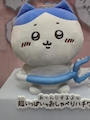 chiko