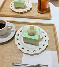 🐰あんり🐰🫧