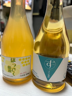 ルイ🐶💋【下北沢 io ᝰ✍︎꙳⋆】「お酒販売店」