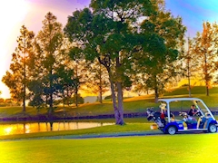 プロフィール写真5・みどり子｜五反田 熟女キャバクラ・別世界