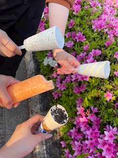 れん「ピクニック🧇💞」