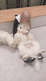 新着ブログ 🤍0813🤍