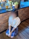 プロフィール写真1・りり|刈谷 ガールズバー・キャンディタウン