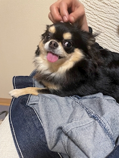 そら「おやすみですってブログ」