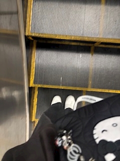 さり