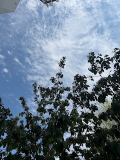 神崎 蘭