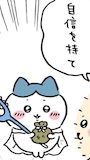 chiko
