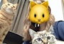 ゆうか