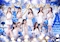 プロフィール写真10・らん｜Casual bar 88・ハチハチ - 浜松のキャバクラ