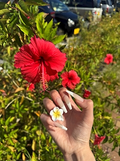 プロフィール写真3・あいる｜フェスティバル 裏なんば店 - 裏なんばのガールズバー