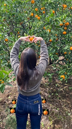 プロフィール写真1・ゆり｜Girls Bar Clasico・クラシコ - 明大前のガールズバー