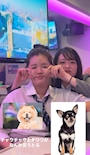 chiko