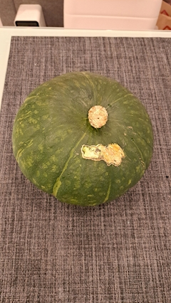 紫苑ママ