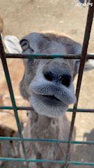 プロフィール動画