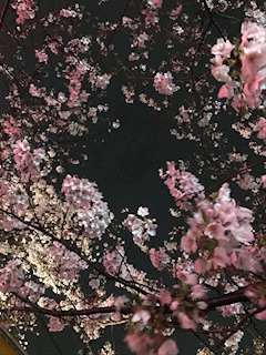 のぞみ【girl's bar BLUE】