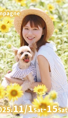 プロフィール写真4・一ノ瀬 みゆ🐶💕｜クラブハナン浜松店・クラブハナンハママツテン - 浜松のキャバクラ
