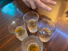 小鳥ママ「みつばちマーチ🍯」