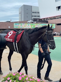小鳥ママ「札幌記念行きました🐴🦓🐎」