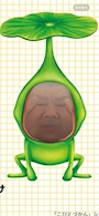 chiko
