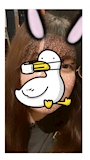 はな