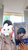 chiko