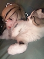 chiko