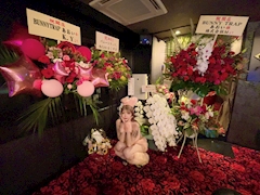 プロフィール写真6・🐰❤️あおいだよーー❤️🐰|GIRLS BAR BUNNYTRAP・バニートラップ - 二子玉川駅 のガールズバー