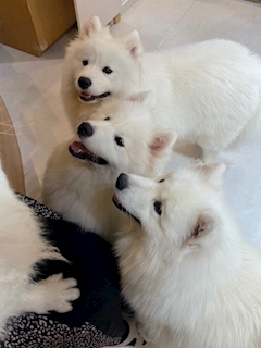 せいな「✧︎𝟐/𝟏𝟐」