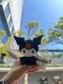 chiko