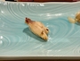 スナックラウンジ ほろろ