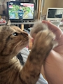 スナックラウンジ　ほろろ