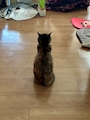 スナックラウンジ　ほろろ
