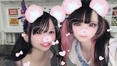 りた「野生動物🐇」