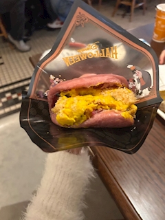 ハル「ディズニー> ·̫ <♩」