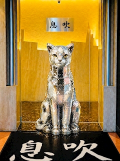 プロフィール写真1・にゃーター|ラウンジ息吹・イブキ - 東心斎橋のラウンジ/クラブ