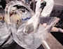 新着ブログ 2026・0923‼️
