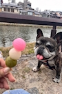chiko