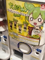 chiko