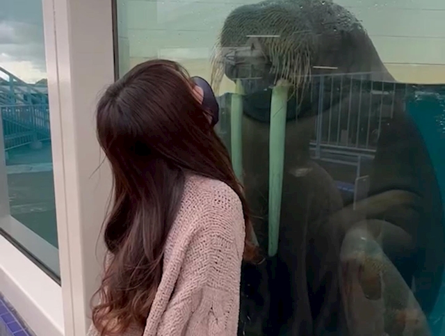 プロフィール写真1・ありさ｜