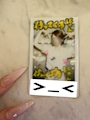 chiko